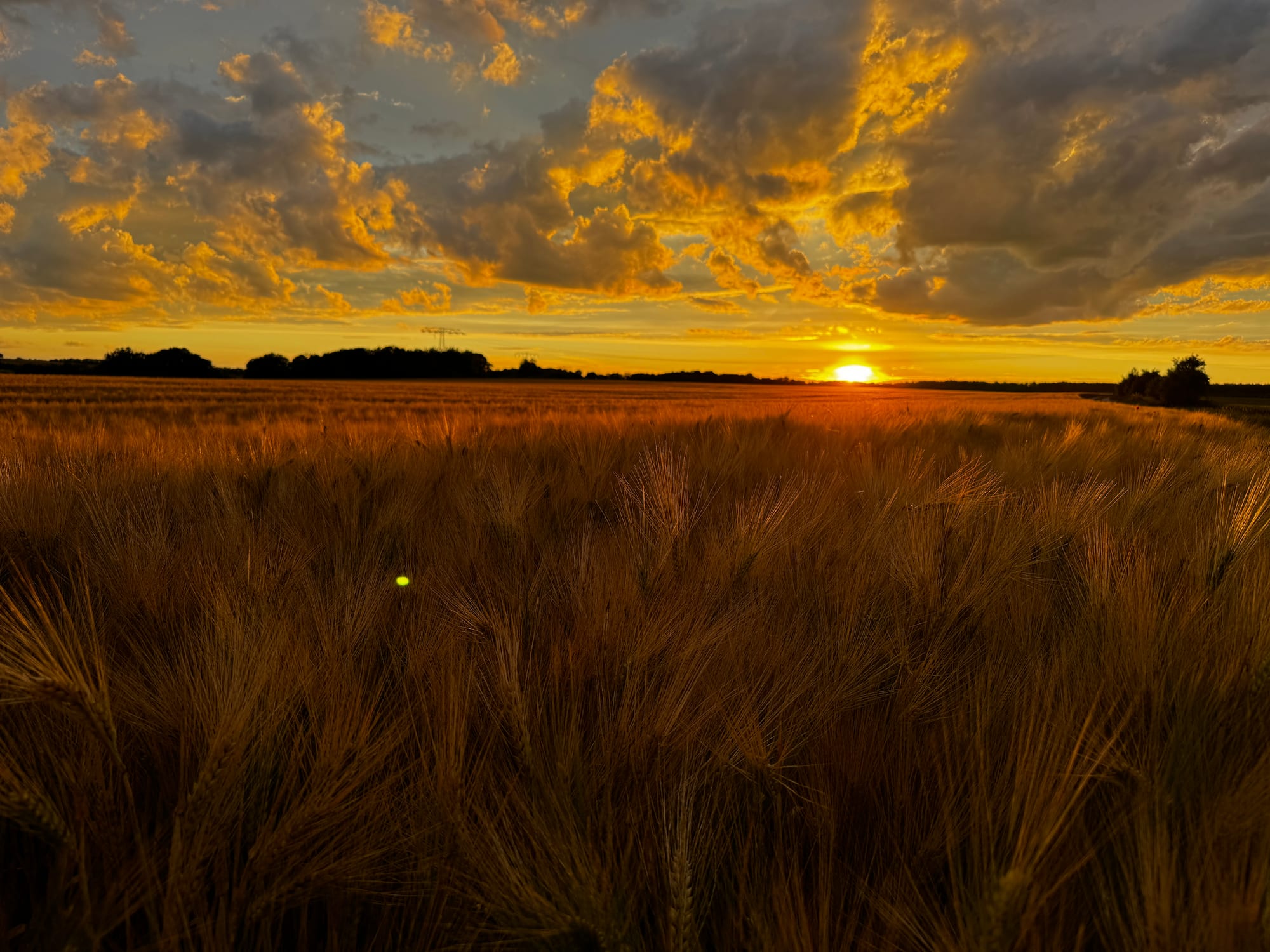 Ernte bis die Sonne untergeht